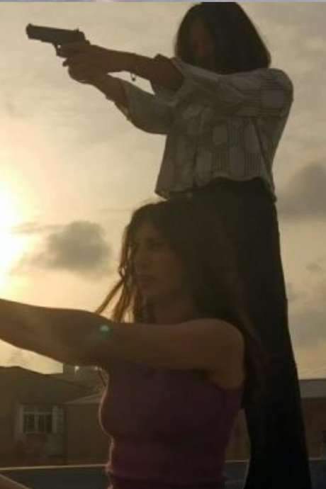 En casa: Mira este vídeo de gatitos